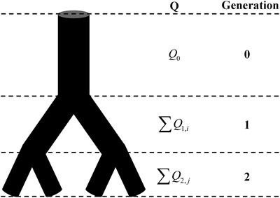 Development of Novel Fractal Method for Characterizing the Distribution of Blood Flow in Multi-Scale Vascular Tree